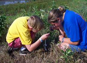two children examine a plant in a field